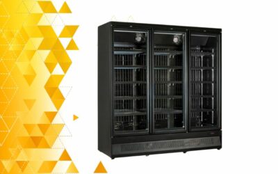 La vetrina freezer MR-188-BT3-BLK:  ideale per la conservazione e l’esposizione professionale