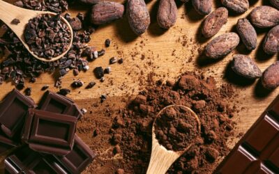 Idee imprenditoriali: aprire un negozio innovativo nel mondo del cioccolato